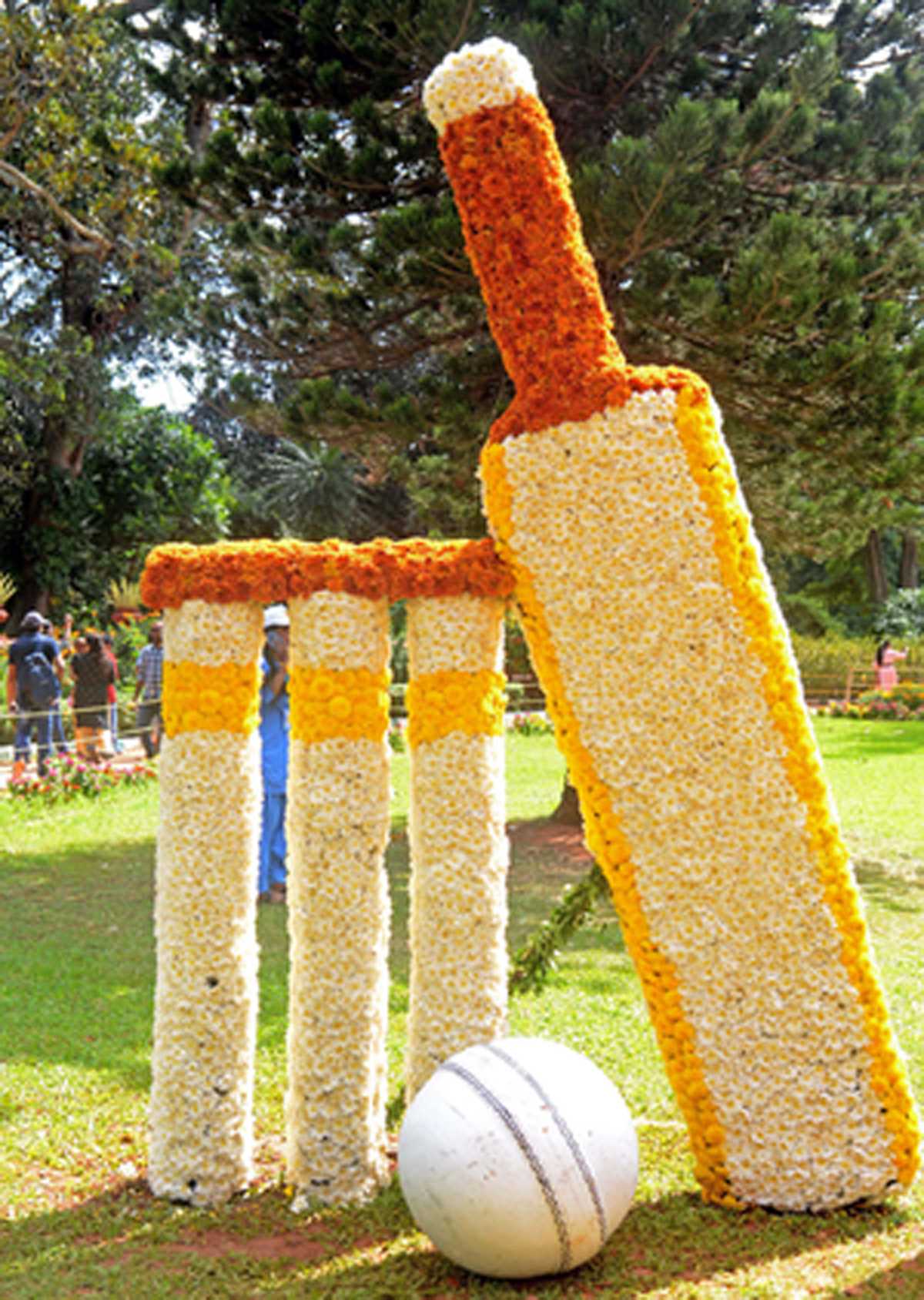 महिला बने ट्रांसजेंडर की महिला क्रिकेट में भागीदारी पर आईसीसी ने लगाया प्रतिबंध